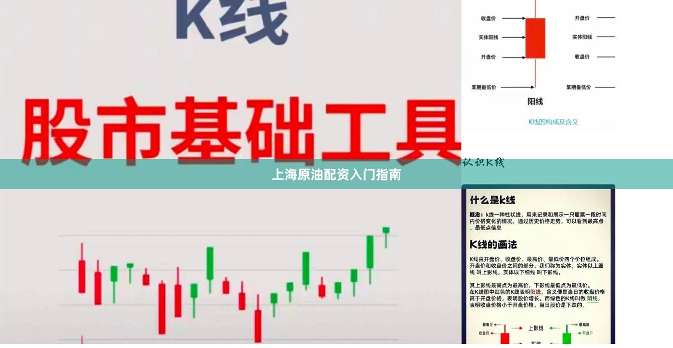 上海原油配资入门指南